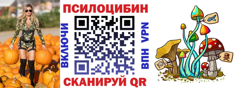 Купить где  Дзержинский  Галлюциногенные грибы Psilocybe 